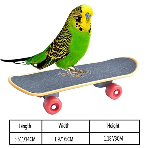 Petzlifeworld Bird Toys Parrot Toys Funny Intelligence Skateboard Toy Stand Perch Toy for Parakeet Cocktails Bird Training Accessories