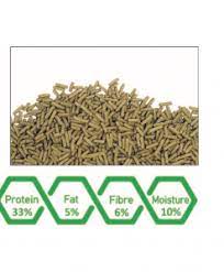 WA Turtle Tortoise Nutra Feed For Fish Food