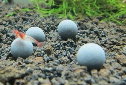 Aquatic Remedies Betta Survive Mineral Releasing Balls Pack Of 10+4 ( 1 Pack Suitable For 1 Betta Fish Setup )