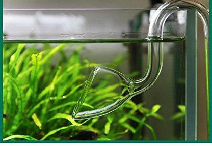 Aquarium Glass Lily Pipe 13mm Plant Inflow and Lily Pipe Outflow for 12/16mm Tube - PetzLifeWorld