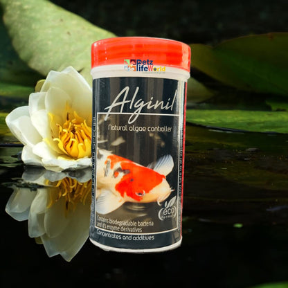 Aquatic Remedies ALGI-NIL,100g | Natural Algae Controller for Koi, Tropical, Indoor, Gardening Pond