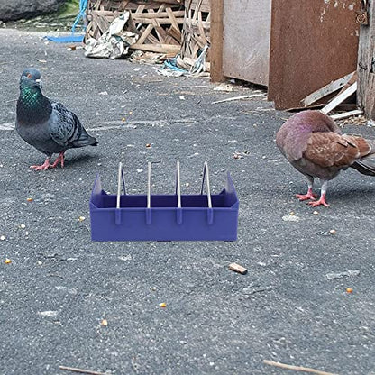 Petzlifeworld Small Poultry Plastic Food Tray(21 cm) for Pigeon, Chicken & Pets Garden Outdoor Use, Ground Bird Feeder (Blue)