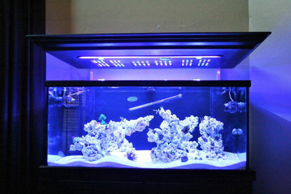 Sansibar Rock for Marine Tank - PetzLifeWorld