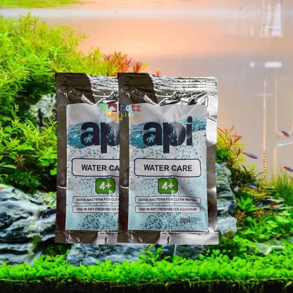 Aquarium Products India (API) Water Care 4 Plus | Beneficial Bacteria for Aquarium Fish Tank (Pack of 2 | Can Be Use for 4 Feet Tank)