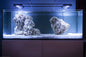 Sansibar Rock for Marine Tank - PetzLifeWorld