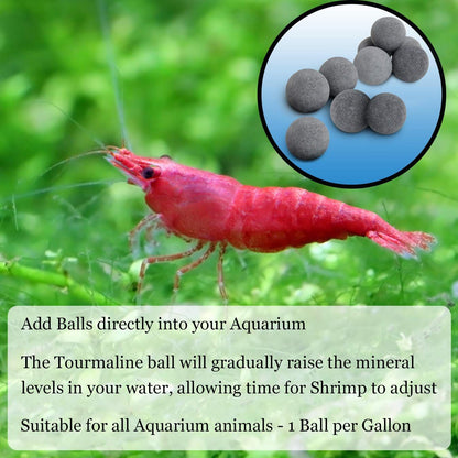 Aquatic Remedies Betta Survive Mineral Releasing Balls Pack Of 10+4 ( 1 Pack Suitable For 1 Betta Fish Setup )