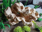 Sansibar Rock for Marine Tank - PetzLifeWorld