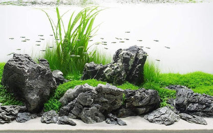 Seiryu Rock for Aquascaping, Aquariums, Terrariums, Vivariums River Rock - PetzLifeWorld