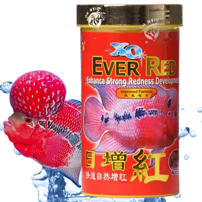 Ocean Free XO Ever Red (Original) Fish Food, 280ML/100G | Enhance Strong Redness Development for Flowerhorn Fish