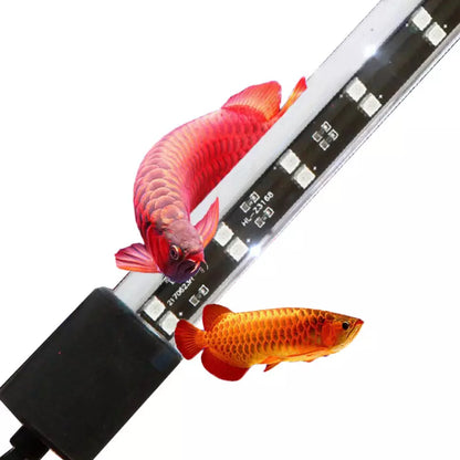 Neo Helios Solar Booster Arowana Tanning Light