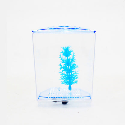 Petzlifeworld Acrylic Mini plastic Fish Tank /Betta / Fighter - PetzLifeWorld