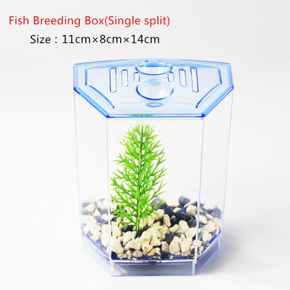 Petzlifeworld Acrylic Mini plastic Fish Tank /Betta / Fighter - PetzLifeWorld