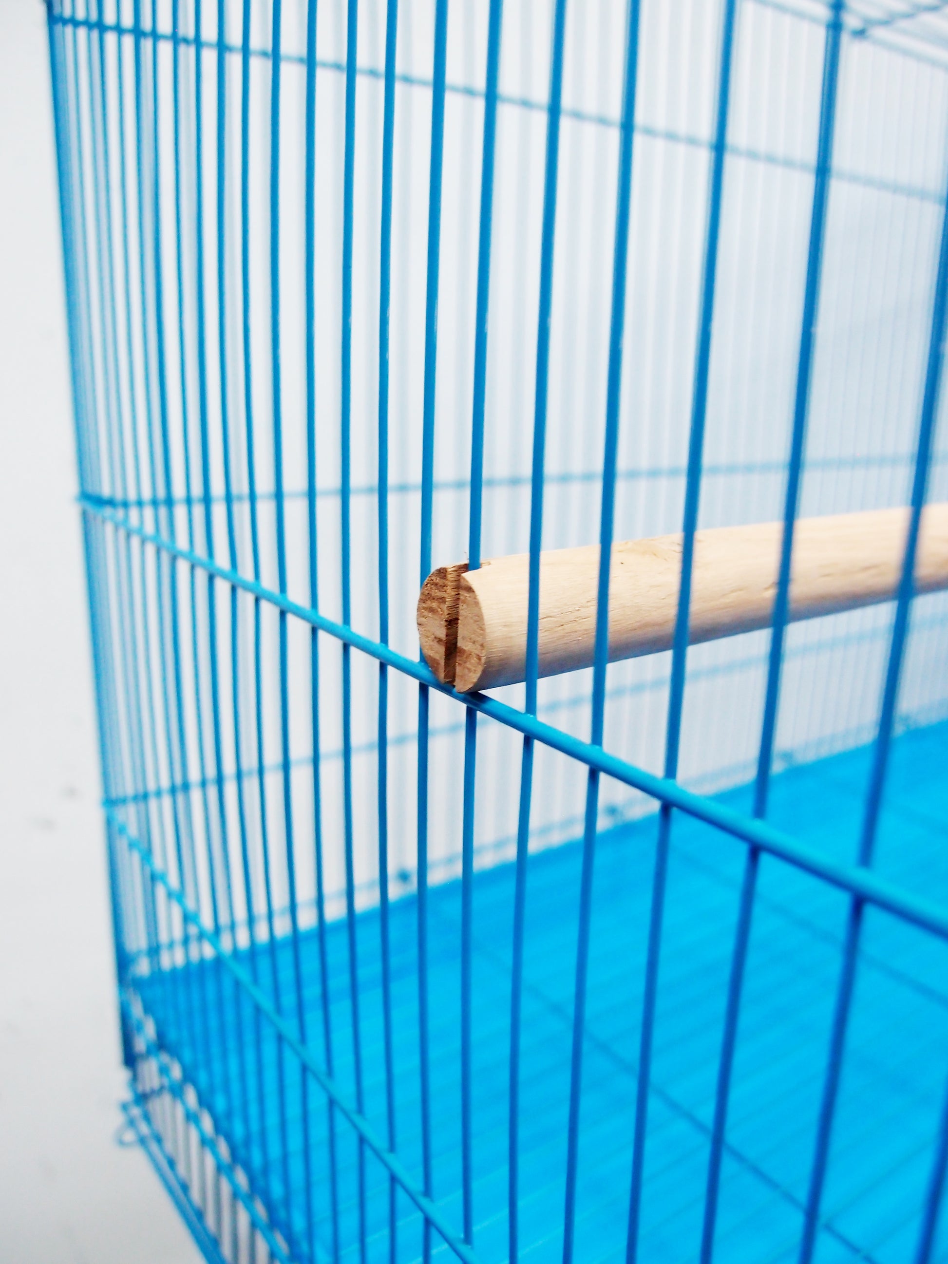 High Quality Powder Coated Rust Proof 2 Feet Birds Cage - PetzLifeWorld