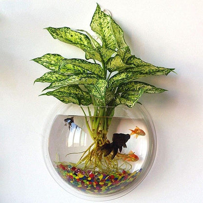 Acrylic Wall Hanging Bowl 15 Inch for Fish and Indoor Plants. - PetzLifeWorld