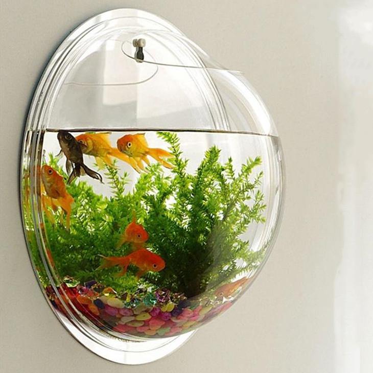 Petzlifeworld Acrylic White Wall Hanging Bowl (with Free Stones) for Fish  and Indoor Water Plants Wall Decoration