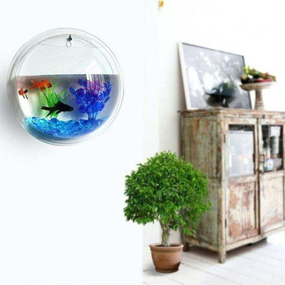 Acrylic Wall Hanging Bowl 15 Inch for Fish and Indoor Plants. - PetzLifeWorld