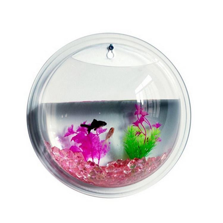 Acrylic Wall Hanging Bowl 15 Inch for Fish and Indoor Plants. - PetzLifeWorld