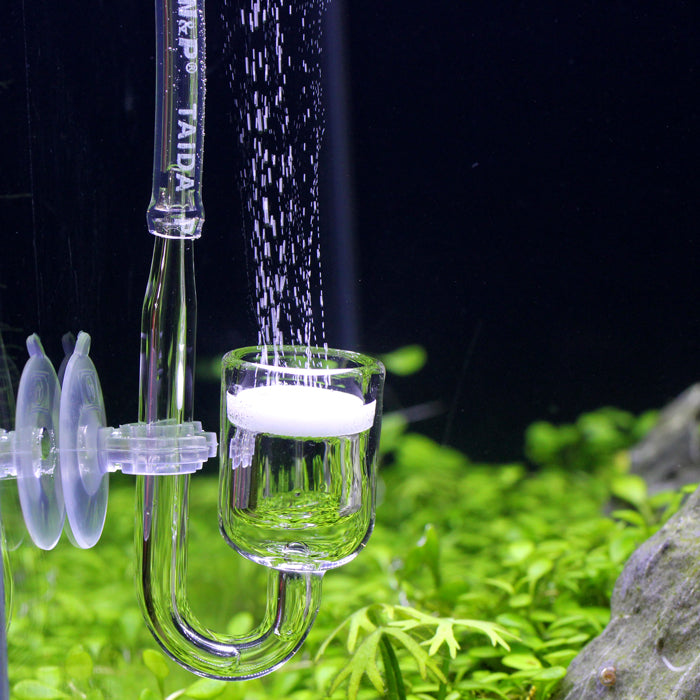 Aquarium Transparent High Quality Co2 Tube for co2 setup | Flexible| Safety 4MM - PetzLifeWorld