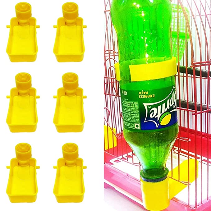 Bird clearance bottle cage