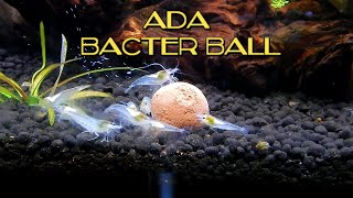 ADA Bacter Ball - Pack of 1 Ball - PetzLifeWorld