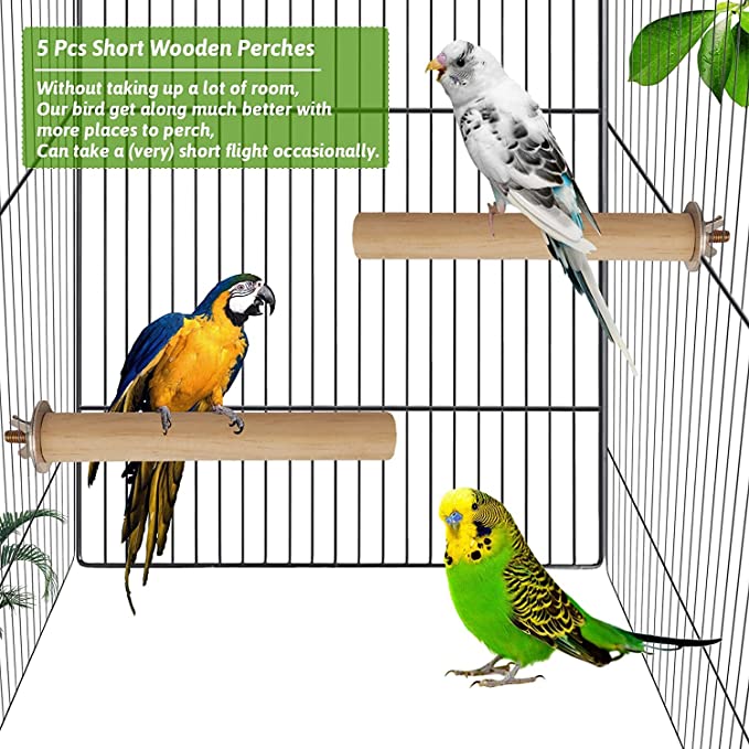 Budgie perches best sale