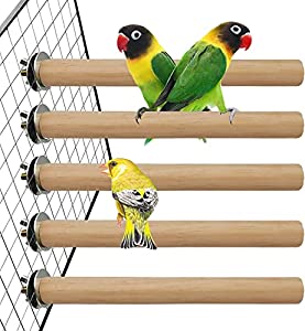 PetzLifeworld Birds Cage OneSide Natural Wood Polished Finish Perches for for Budgies, Parakeets, Canaries, Cockatiels, Conures, Finches & Other Small Birds Length 7.5 Inches (Pack of 2)